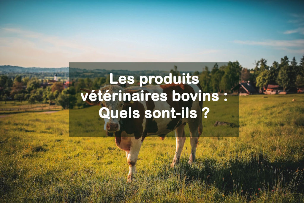 Les produits vétérinaires bovins