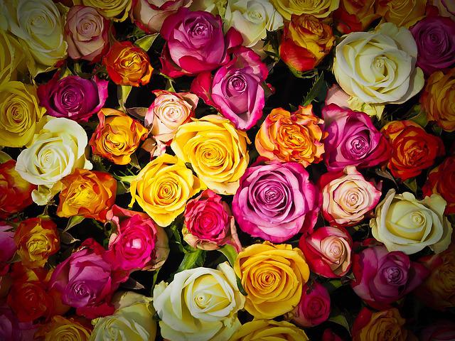 grand bouquet de roses