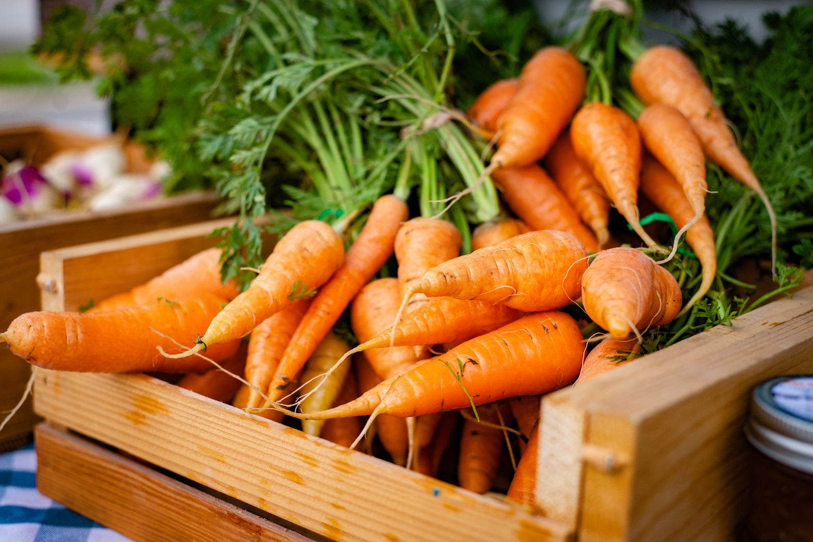 Les carottes sont un légume conseillé