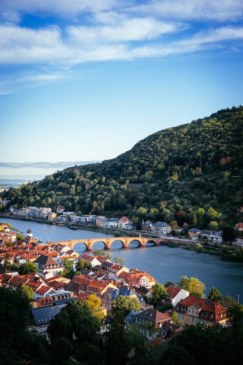 vue de Heidelberg