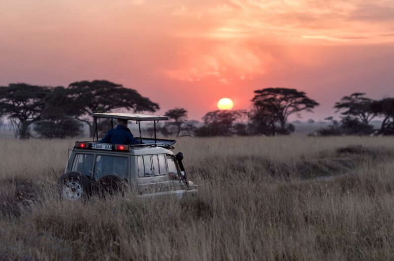 Comment préparer un safari africain ?