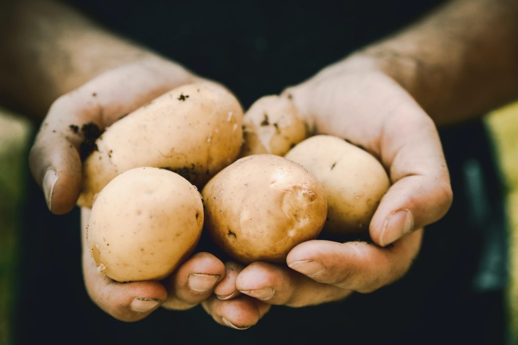 La pomme de terre est-elle considérée comme un légume ?