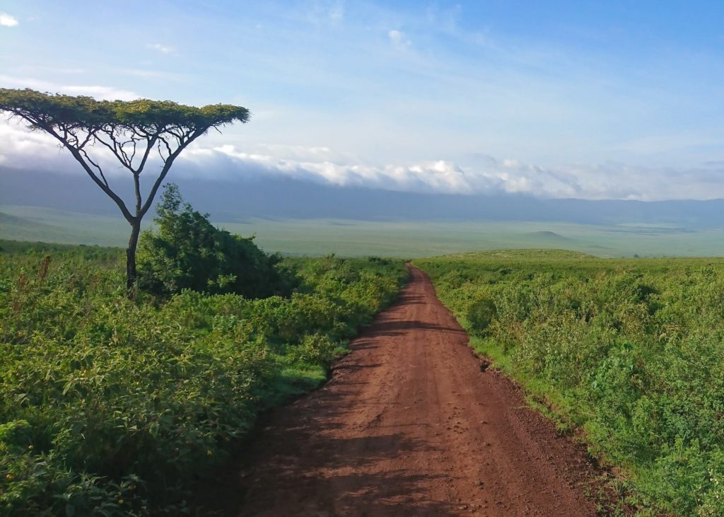 Quand voyager en Tanzanie ? A quelle période de l'année ?