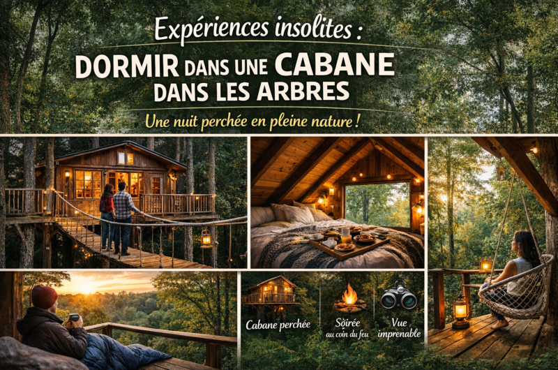 Expériences insolites : dormir dans une cabane dans les arbres