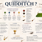 Comment jouer au quidditch ?