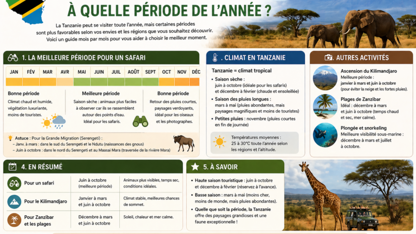 Quand voyager en Tanzanie ? A quelle période de l’année ?