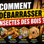 Comment se débarrasser des insectes des bois ?