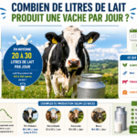 Combien de litres de lait produit une vache par jour ?