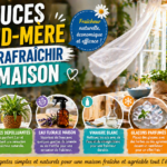 Astuces de grand-mère pour rafraîchir la maison